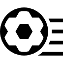 苗桔戈
